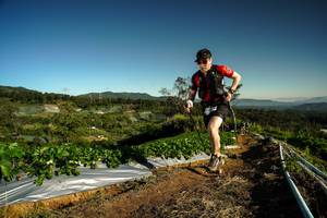 BIB: 
                            <button type="button" onclick="openModal(19121141)" class="btn btn-primary btn-sm float-right btn-popup" data-toggle="modal" data-target=".modal-high-quality">
                        <i class="fas fa-shopping-cart"></i> Add to Cart
                    </button>
                                            <button type="button" onclick="isThisMe(19121141, true)" class="btn btn-success btn-sm float-right btn-popup btn-isme hidden" data-toggle="tooltip" data-placement="bottom" title="นี่คือรูปของคุณใช่ไหม คลิกที่นี่เพื่อเอาเข้าอัลบั้ม">
                        <i class="fas fa-plus"></i> Add to album
                    </button>
                    <button type="button" onclick="isThisMe(19121141, false)" class="btn btn-warning btn-sm float-right btn-popup btn-isnotme hidden">
                        <i class="fas fa-ban"></i> Remove from album
                    </button>